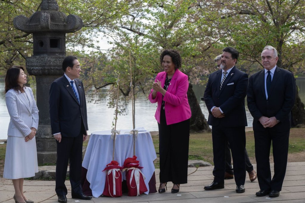 It was over a century ago that the first cherry blossom trees were gifted to the people of the United States by the people of Japan.