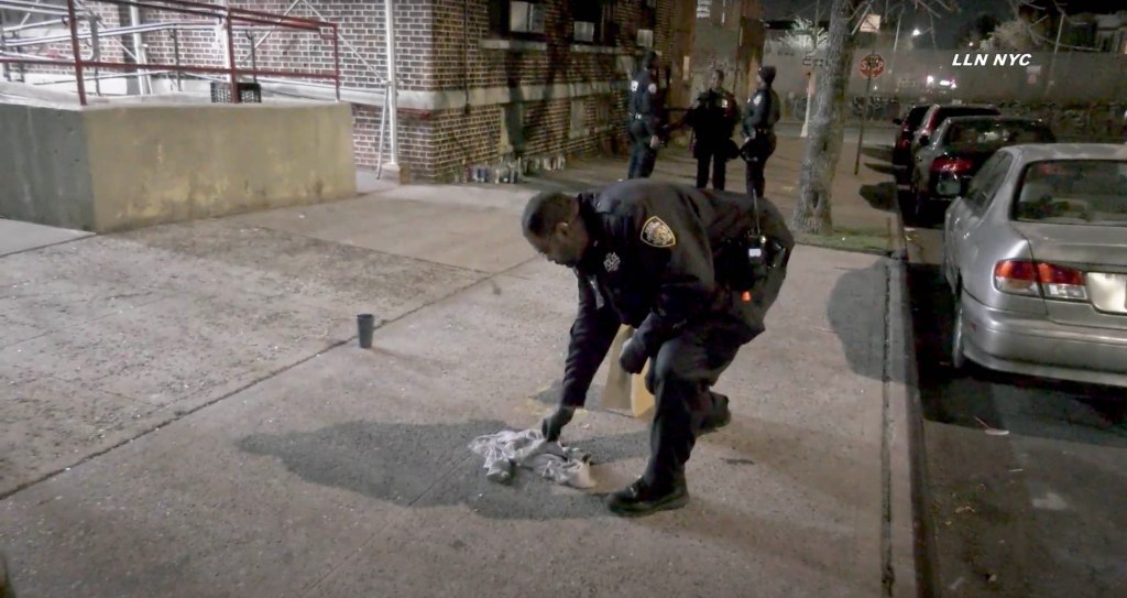 An 11-year-old boy was shot in the arm around 11 p.m. Monday on the grounds of NYCHAs Brownsville Houses, 324 Howard Avenue, cops said.