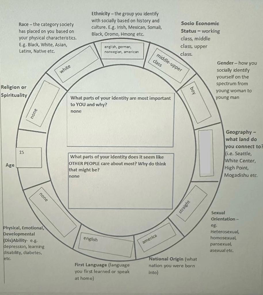  “Social Identity Wheel” 