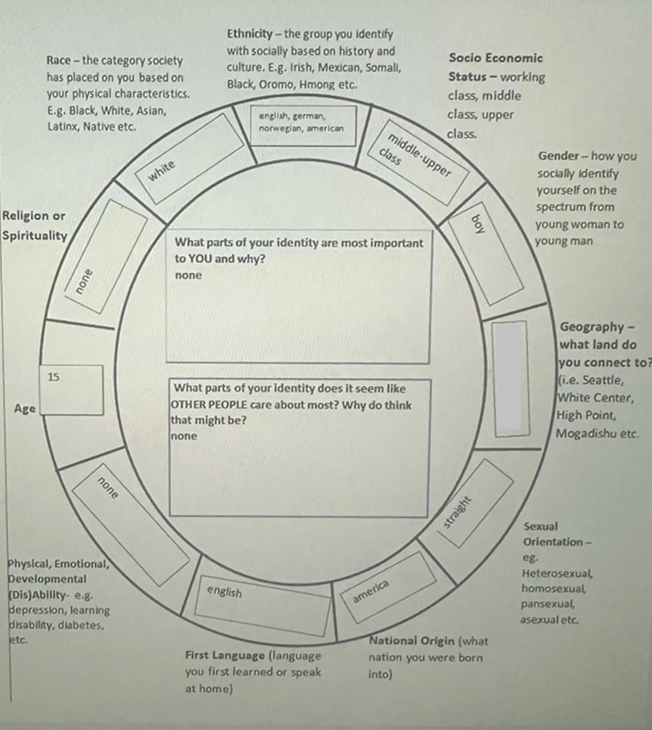  “Social Identity Wheel” 