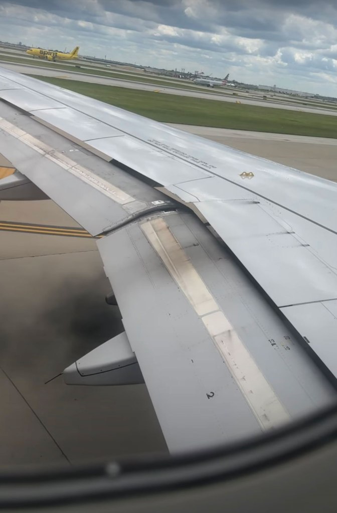Smoke could be seen coming from one of the plane's wings. 
