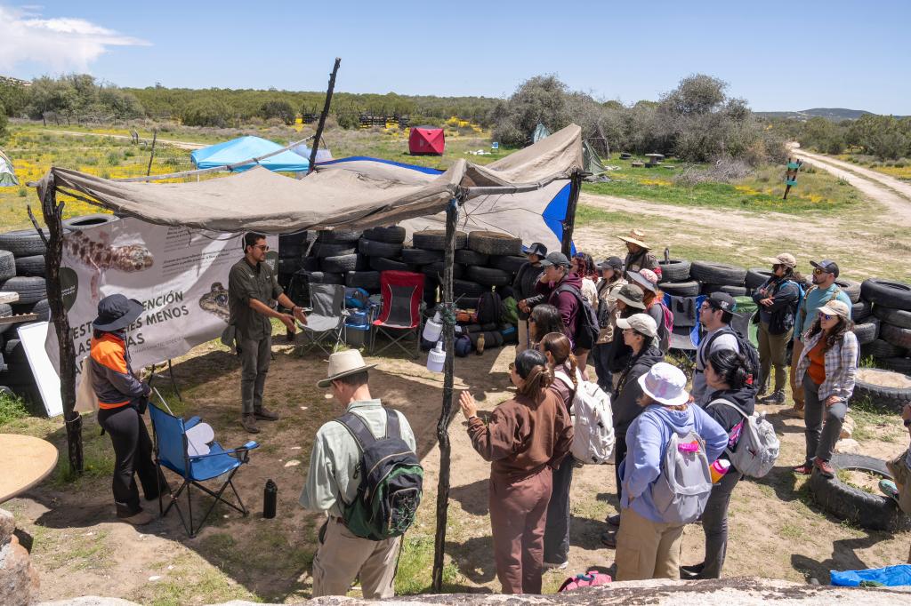 The Baja Rare members planning their Border Bioblitz expedition.