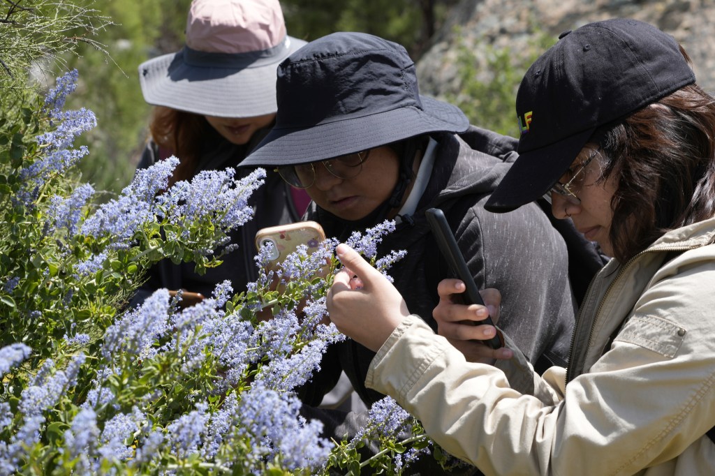 Colege students and members of Baja California's conservation organization Baja Rare on a botanical expedition.