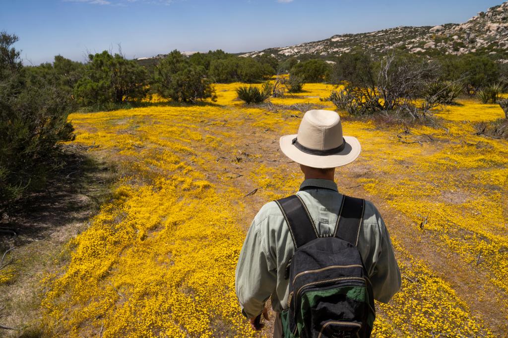 Dr. Georges Seingier, Prof. Marine and Environmental Sciences at Baja California Autonomous University, joining a botanical expedition.