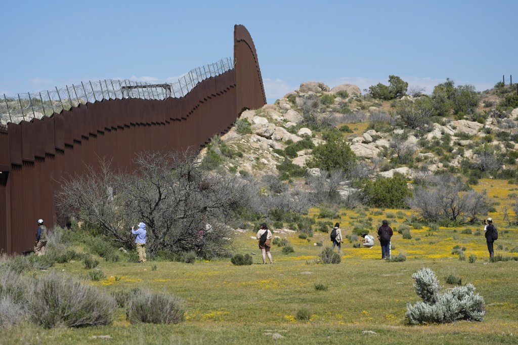 Botanists and volunteers recording biodiversity on the US-Mexico border near the Ejido Jacume in Baja California, Mexico on April 19, 2024.