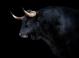 Welcome to Taurus season — and beware these most toxic traits of bad bulls