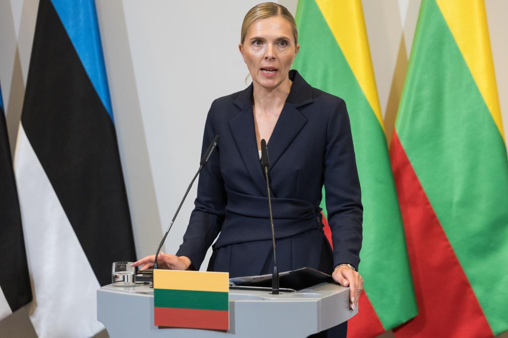 Lithuania's Interior Minister Agne Bilotaite stands at a podium in front of her nation's flag after Poland and the Baltic states interior ministers meeting in Warsaw, Poland.