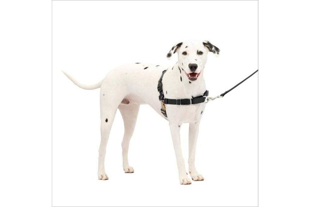 PetSafe Easy Walk Dog Harness