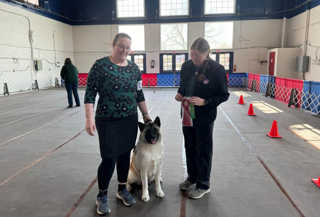 Breeder-owner-handler Jamie Goodrich from upstate New York has been showing her own dogs for about 10 years, and currently handles her Akita named Aero.
