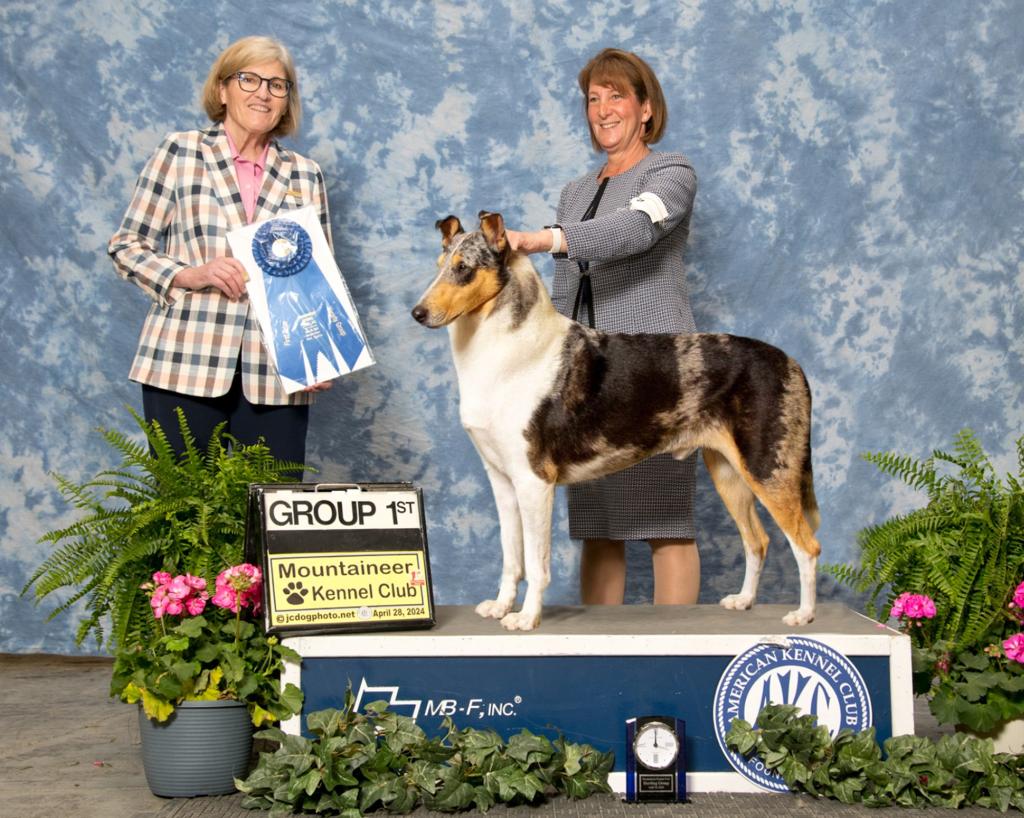 Mara Flood, a breeder-owner-handler, and her collie Poe.