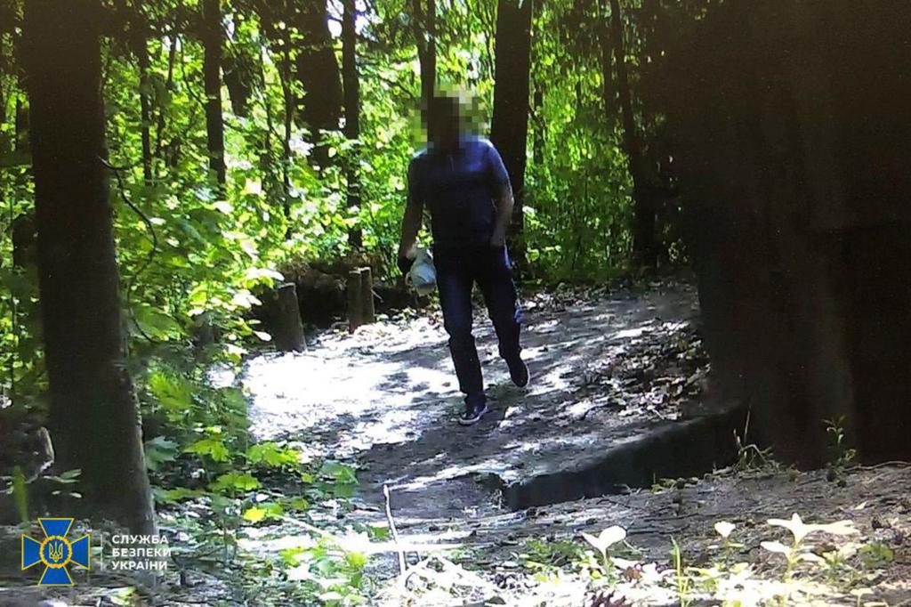 A blurred-out man in the forest.