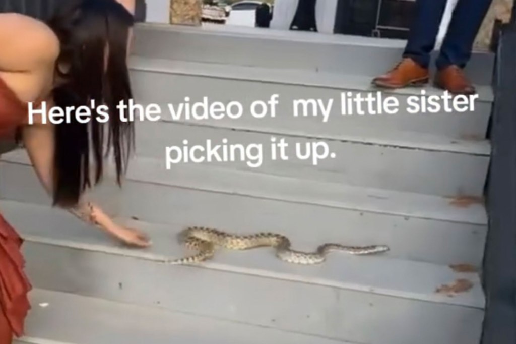 snake on stairs