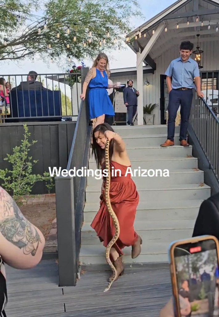 woman picking up snake