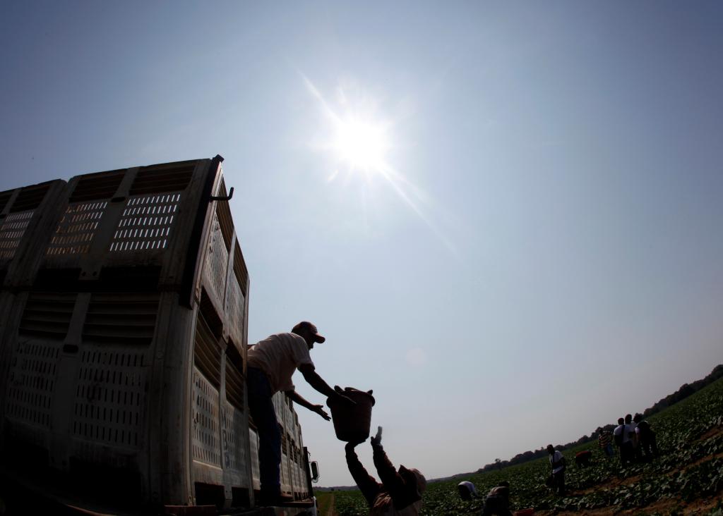 Workers unload a truck