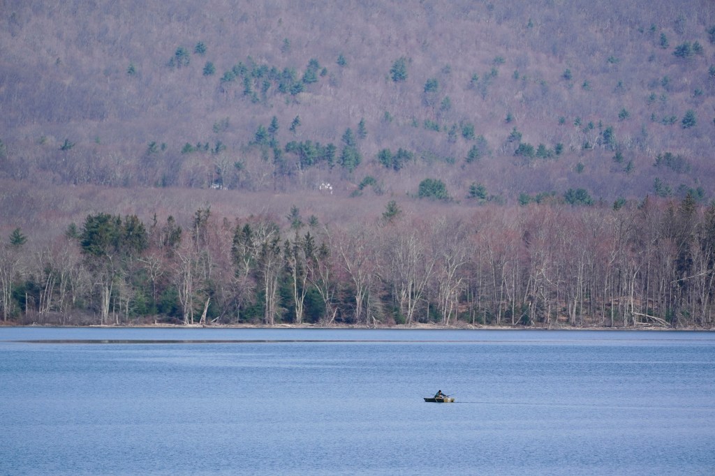 A rowboat makes its way on the surface 