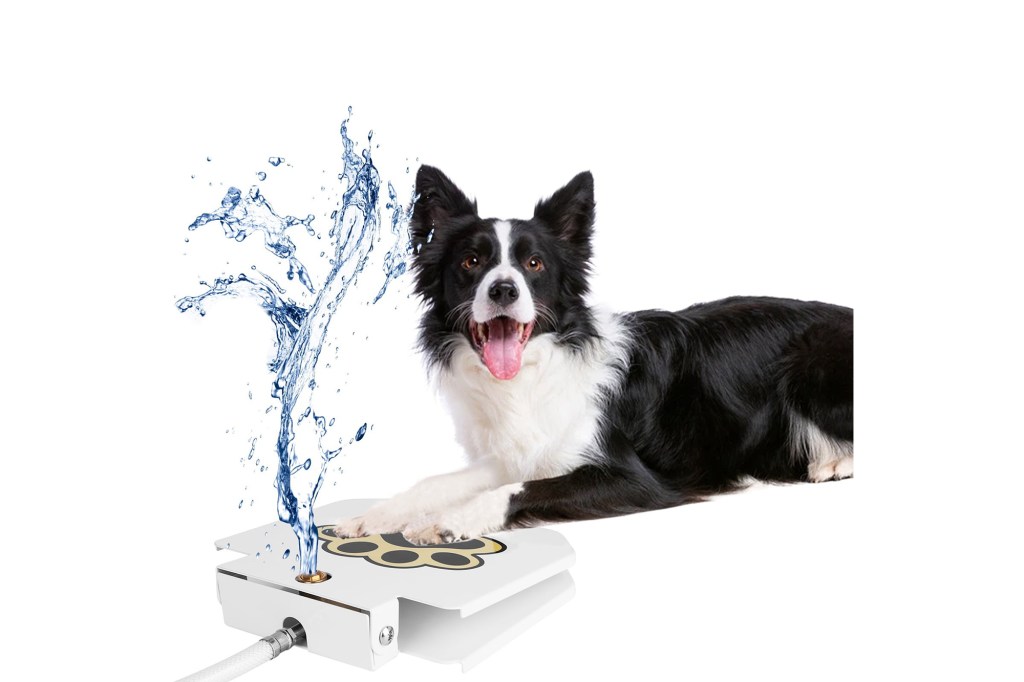 Dog Drinking Water, Step On, Easy to Use, Provide Fresh Water