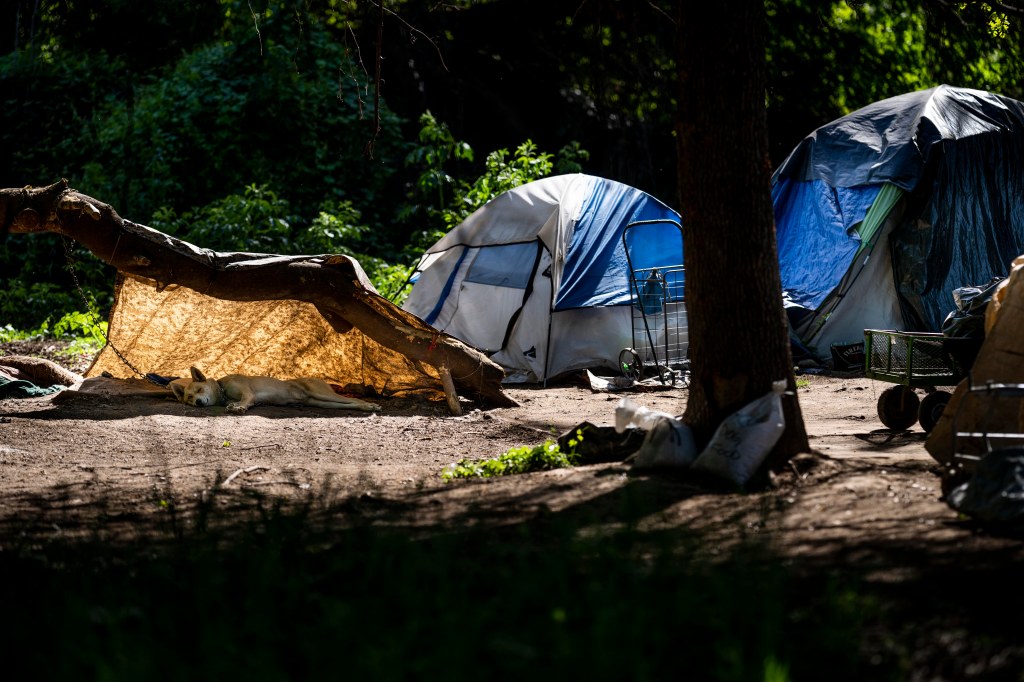 Homeless encampments are setup along the American River Parkway Trail in Sacramento, California Wednesday March 30, 2022. 