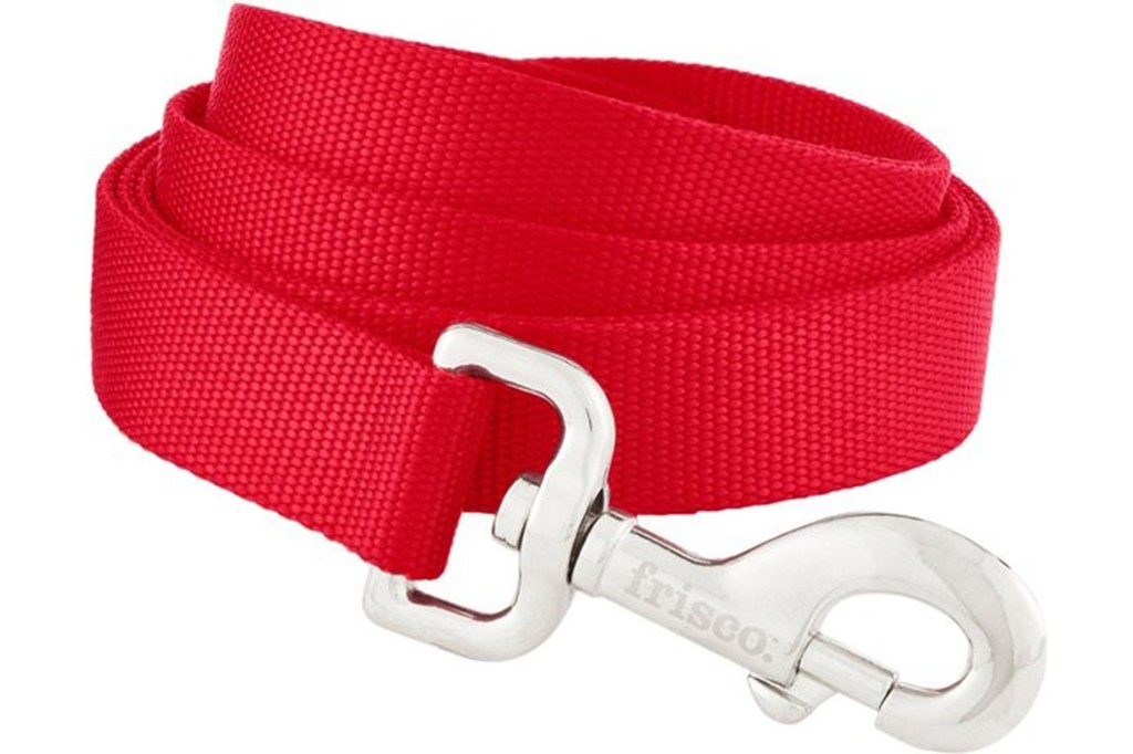 Frisco Solid Nylon Dog Leash