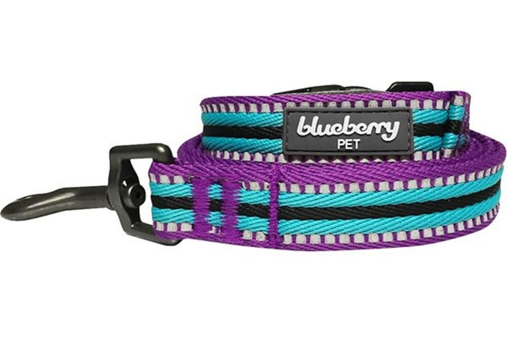 Blueberry Pet 3M Striped Polyester Reflective Dog Leash