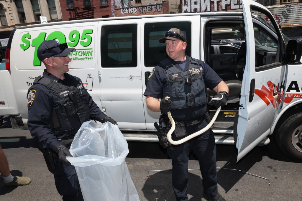 Cops hold snake.