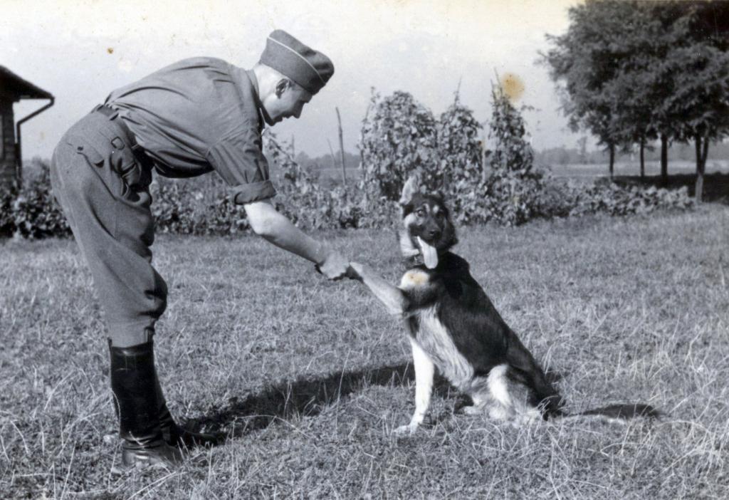 A photograph from the photo album of Karl Höcker, assitant to Richard Baer, the last Auschwitz camp commandant. A chilling photo album shows Nazis at Auschwitz enjoying blueberries and sunbathing in deckchairs. The candid moments were captured on camera as 1.1 million people were murdered at the death camp. The album was found by an unnamed American counterintelligence officer who was billeted in Frankfurt after Germany's surrender in 1945. The photos are now the subject of a play that opened last month off-broadway, the 2024 Pulitzer Prize for Drama finalist Here There Are Blueberries. The play dramatises the work of the curators who examined the mysterious album featuring the Nazi-era photographs that arrived at the desk of a U.S. Holocaust Memorial Museum (USHMM) archivist in 2007. The album consists of 116 photographs taken during the last six months of Auschwitz, between June 1944 and January 1945. The album shows Auschwitz during its most lethal period, coinciding with the murder of 400,000 Hungarian Jews.