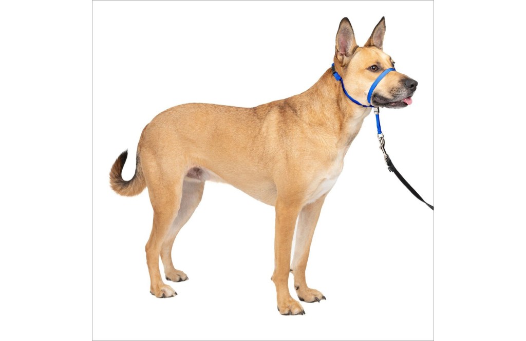 PetSafe Gentle Leader Padded No Pull Dog Headcollar