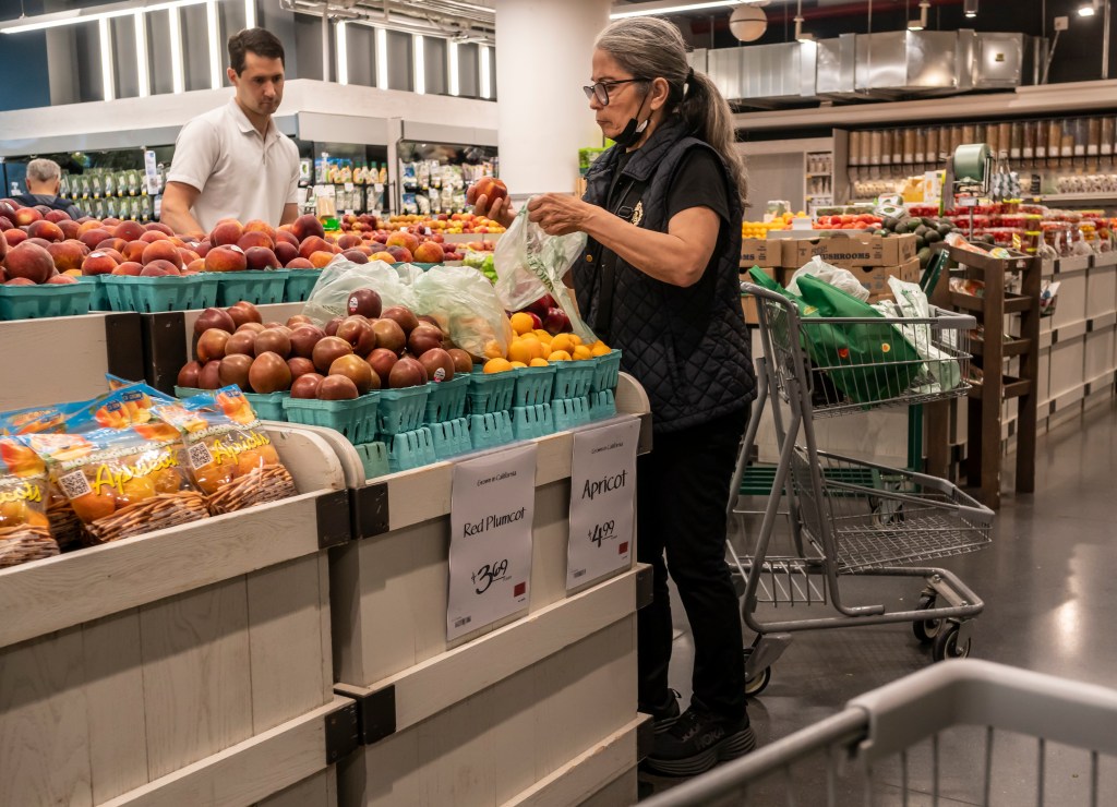 Shopper at supermarket