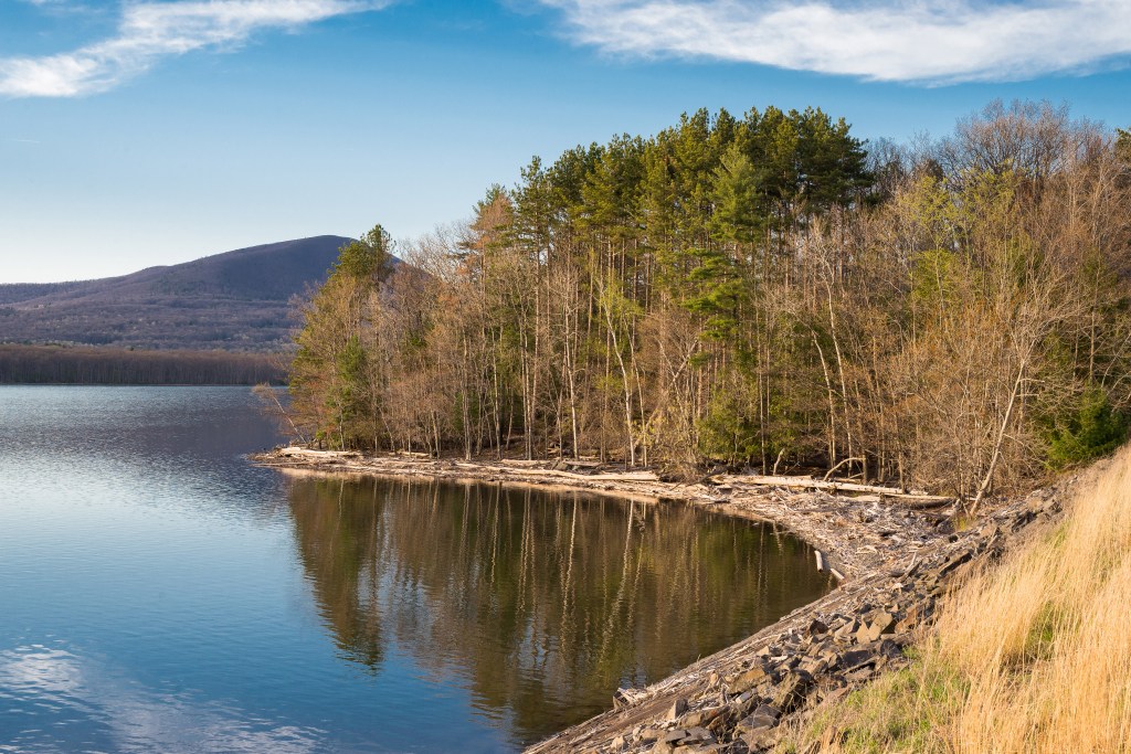 Shoreline of the Ashokan Reservoir