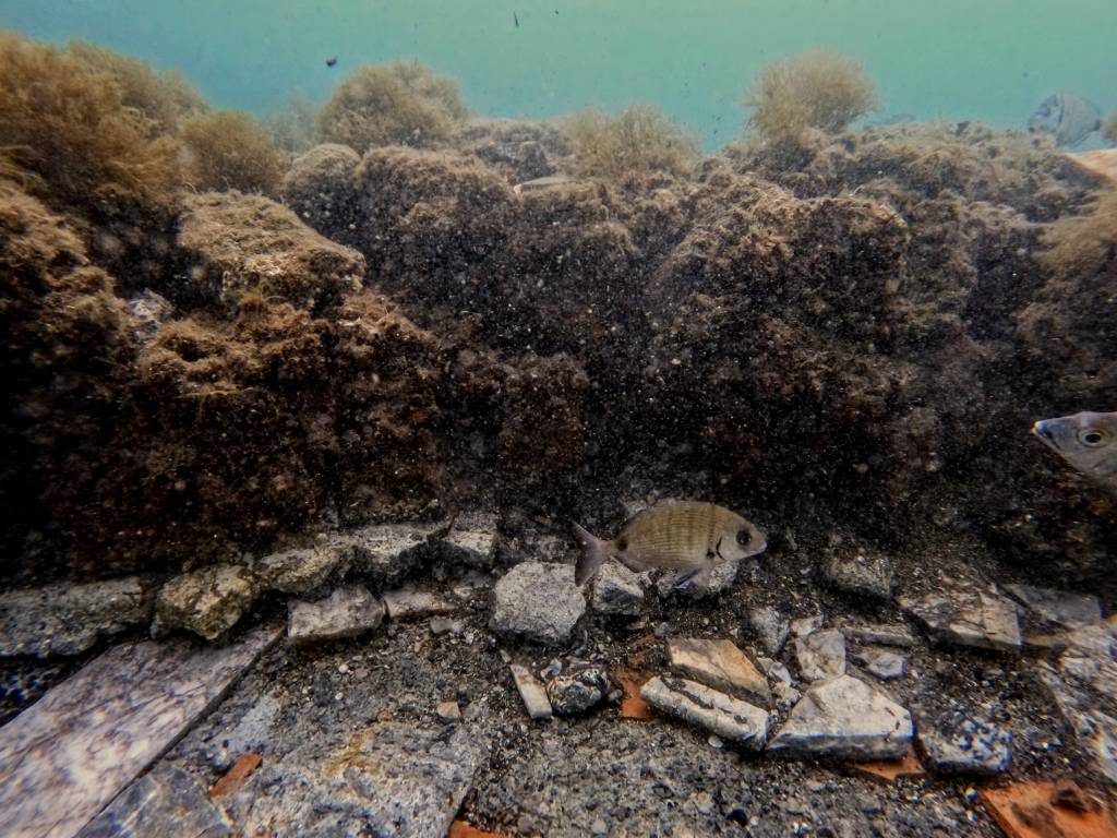 Archaeologists restoring a mosaic made from thousands of marble pieces on the floor of a submerged Roman villa in Italy