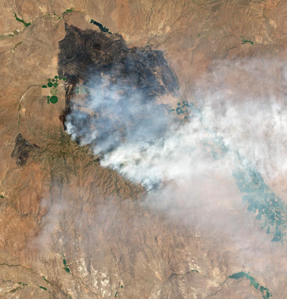 An image of the burn area of the Cow Valley Fire in eastern Oregon 