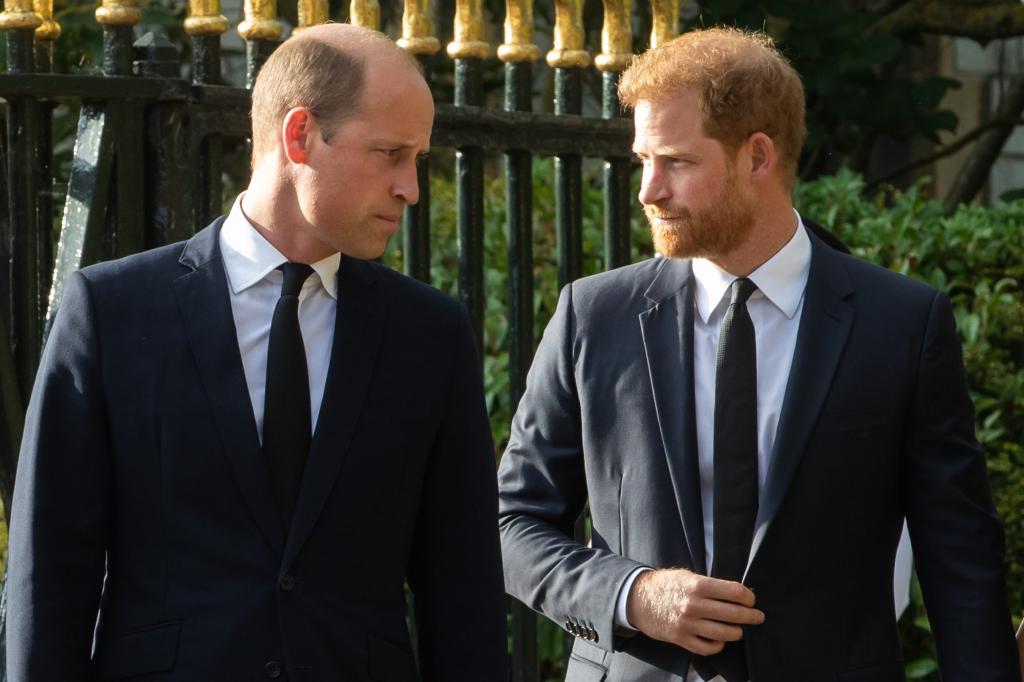 Prince William and Prince Harry, in suits, standing together outside Windsor Castle, viewing floral tributes to the late Queen Elizabeth II