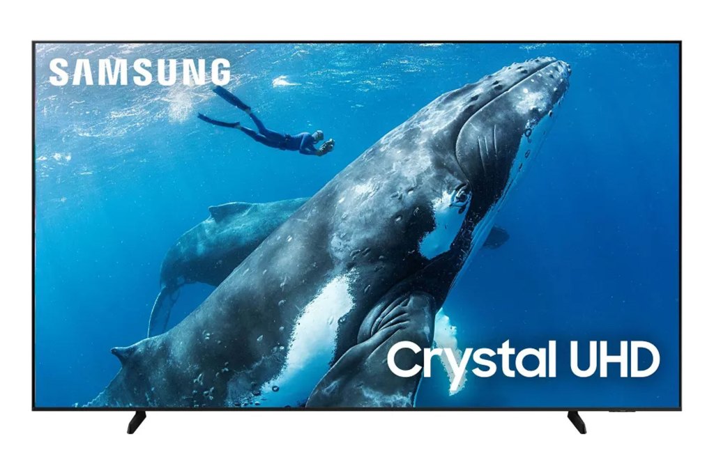 TV screen displaying an image of a whale swimming underwater