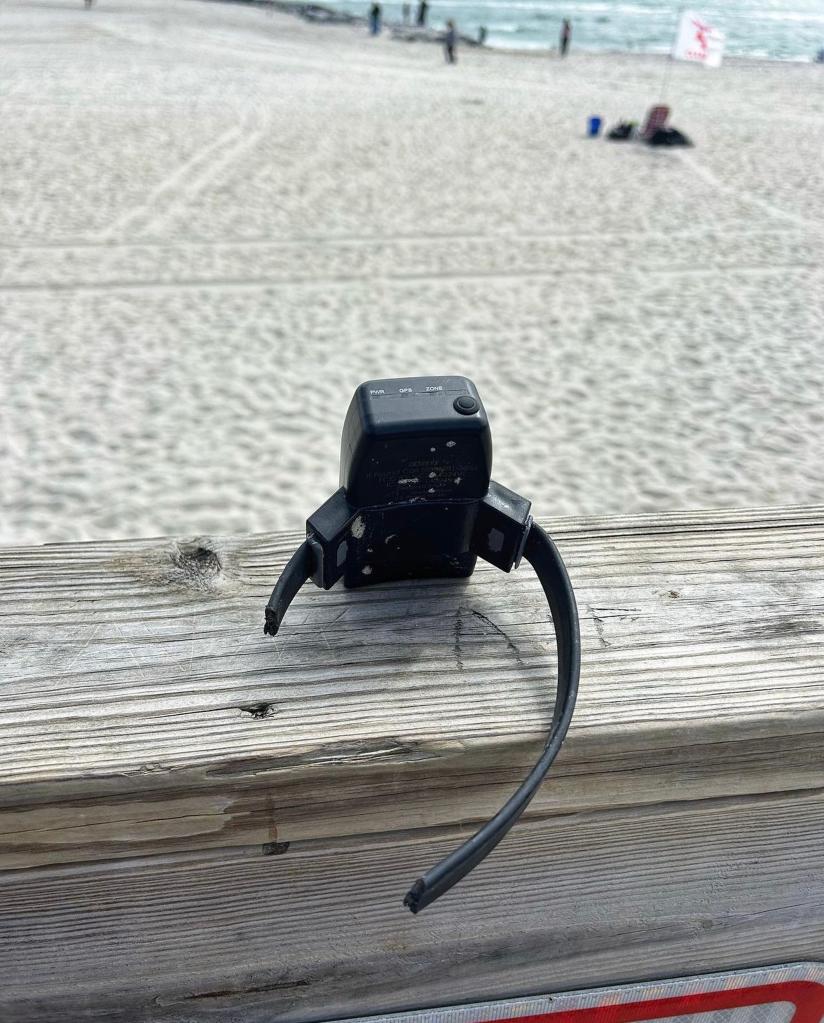 A snipped-off ankle monitor found on Long Beach