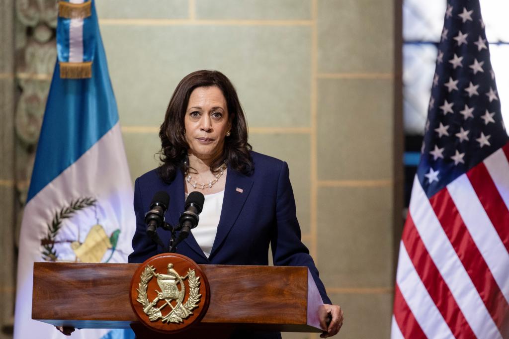 Vice President Kamala Harris infamously told migrants "do not come" to the United States during a visit to  Guatemala on June 7, 2024.