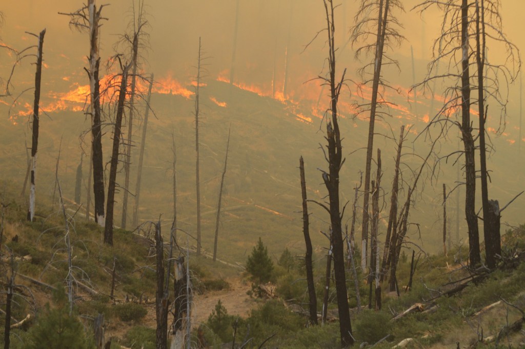 Oregon megafire