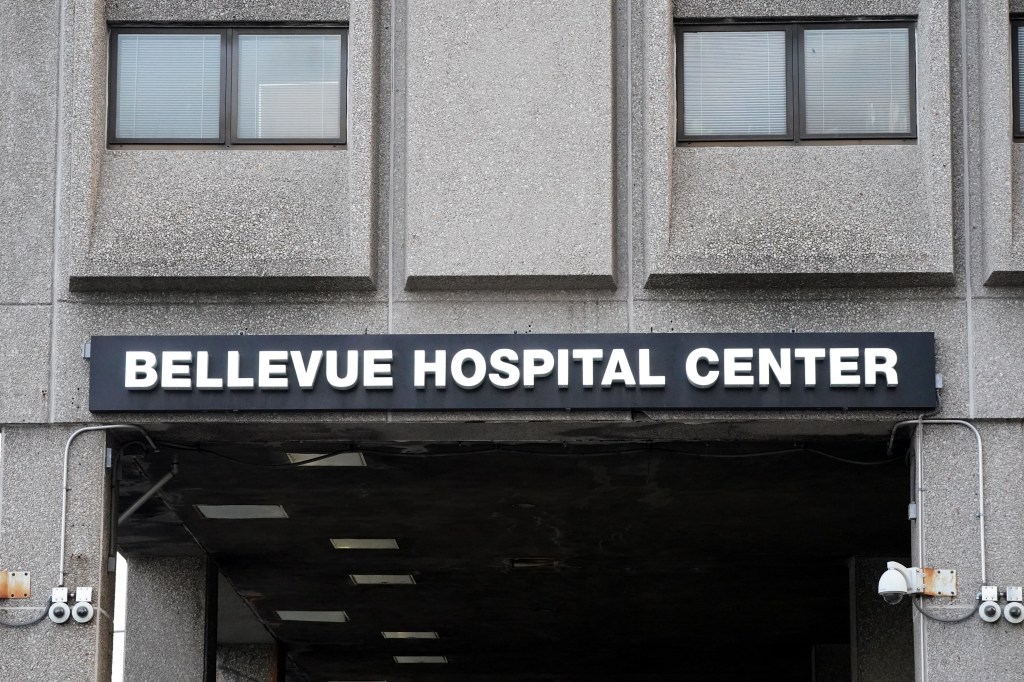 The boy was rushed to Bellevue Hospital, where he's listed in stable condition, police said.