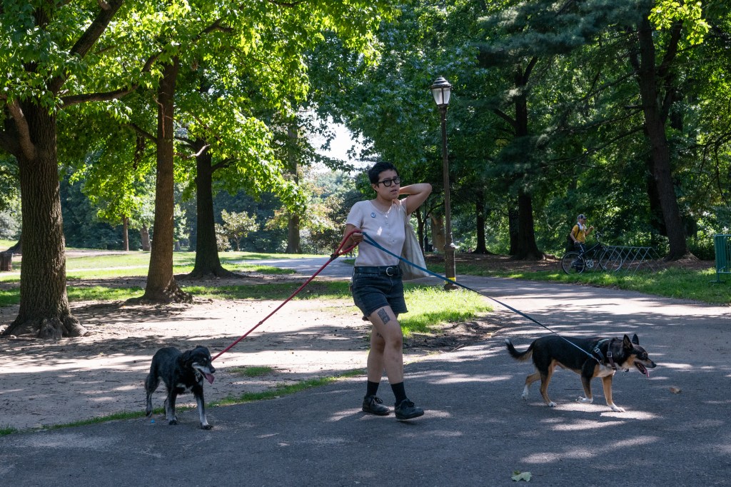 A person walking through Prospect Park  with their two dogs.