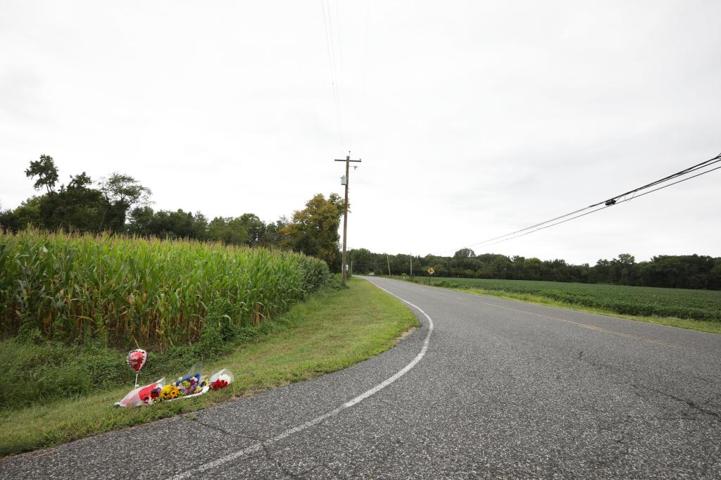 Showing a Memorial on Route 551 by Stumpy Lane in NJ, where the two Brothers where killed.