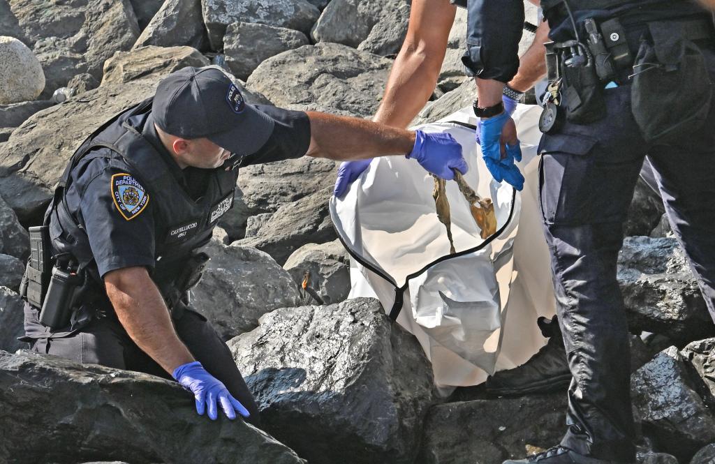 A parks enforcement officer spotted what appeared to be a human skull just off the East River at Dock and Water streets in DUMBO – steps from the iconic Jane’s Carousel, around 8:50 a.m., according to authorities and sources.