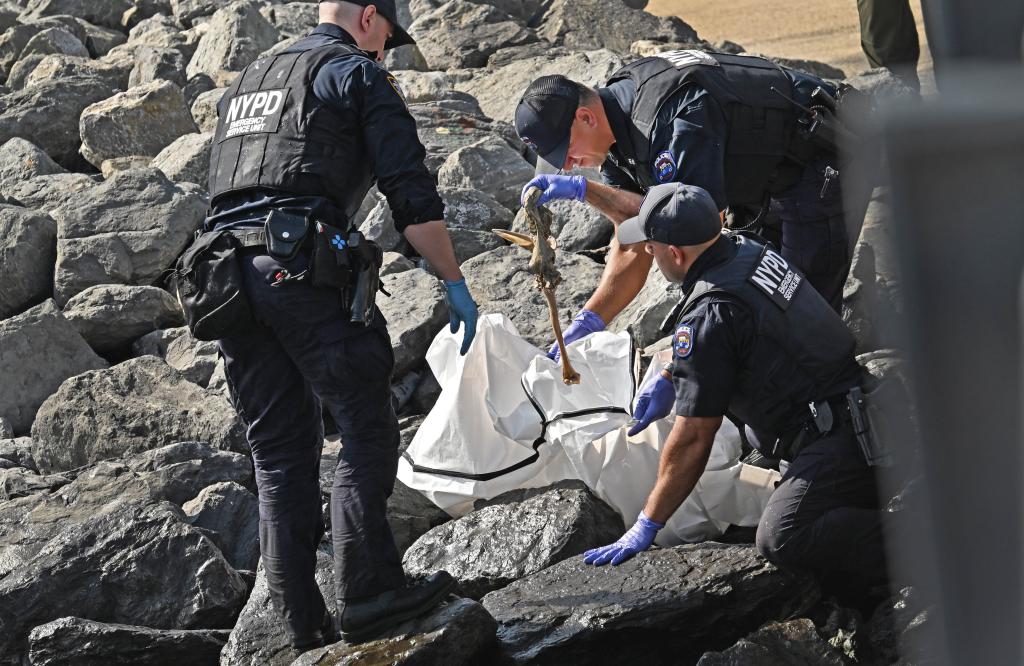 A parks enforcement officer spotted what appeared to be a human skull just off the East River at Dock and Water streets in DUMBO – steps from the iconic Jane’s Carousel, around 8:50 a.m., according to authorities and sources.