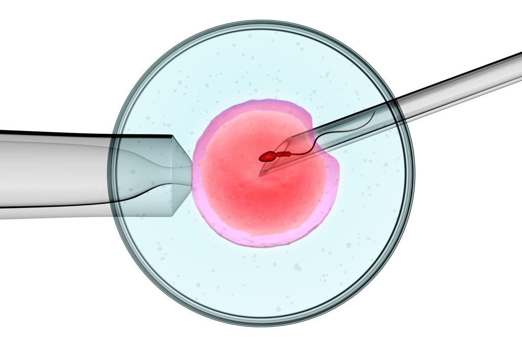 In-vitro fertilization usually requires embryos to be created outside of the womb.