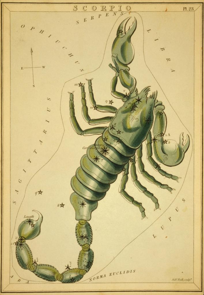 Astronomical chart featuring a drawing of a scorpion