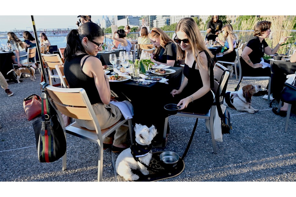 A group of people sitting at a table with a dog for CESAR Restaurant Week. 