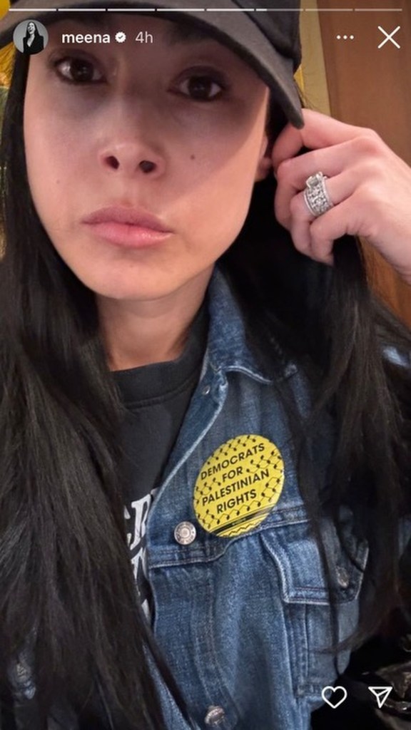 An Instagram story posted by Menna Harris showing her wearing a pin that says Democrats For Palestinian Rights.