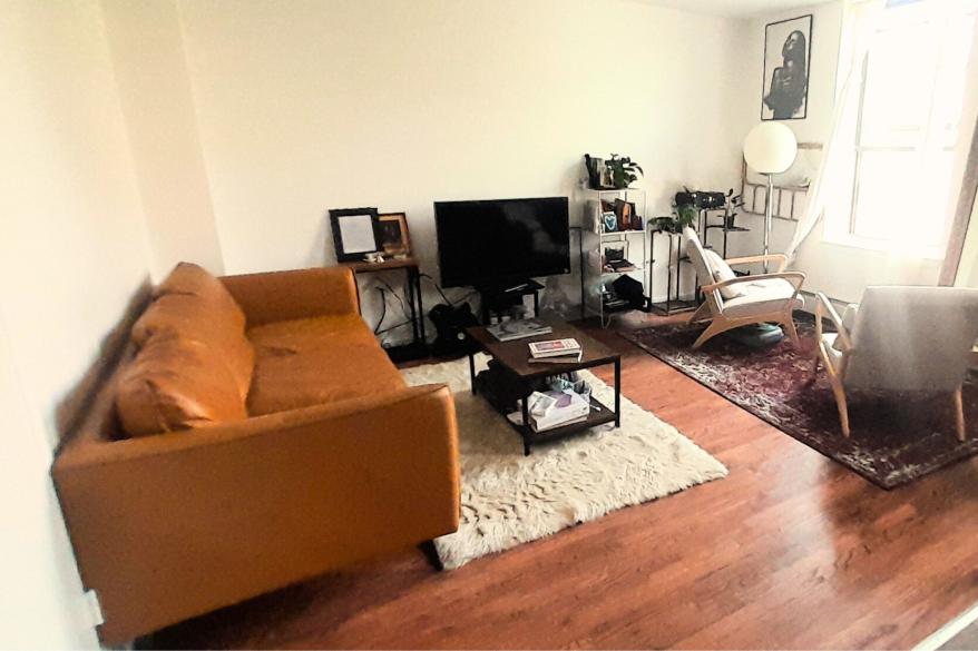 A stylish living room with a leather couch, plants, and shag rug.