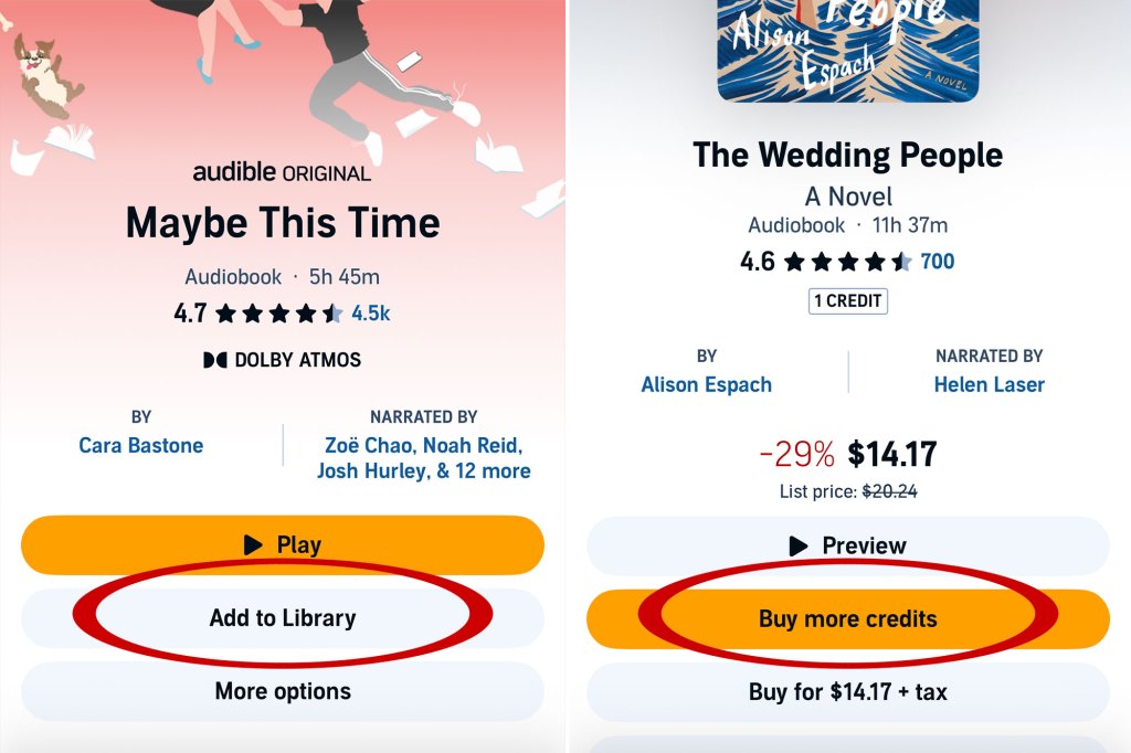 A screenshot of an Audible book store