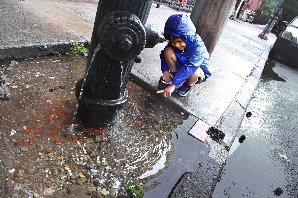 Block resident Lenox Benoit, 4, stops by to check in on the fish.