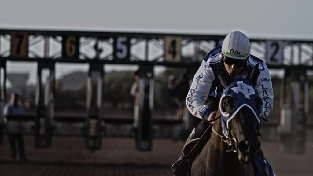 Quarter horse races on the track in Texas