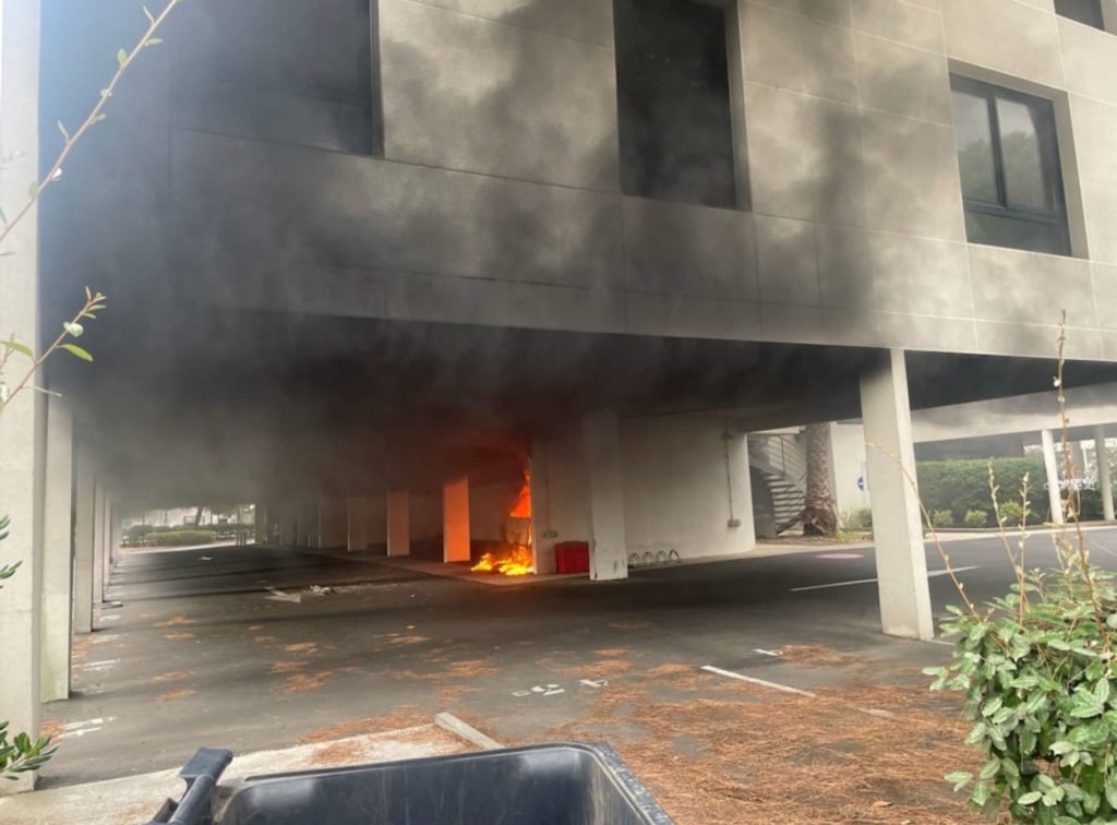 Two parked cars were lit on fire outside the synagogue.