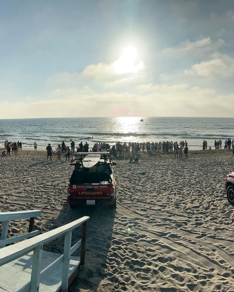 Dead whale in Los Angeles